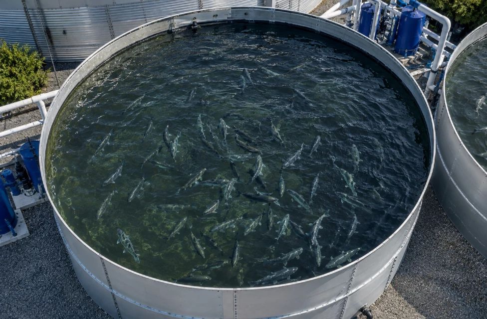 fish-farming-bolted-steel-tank-apro-industrie