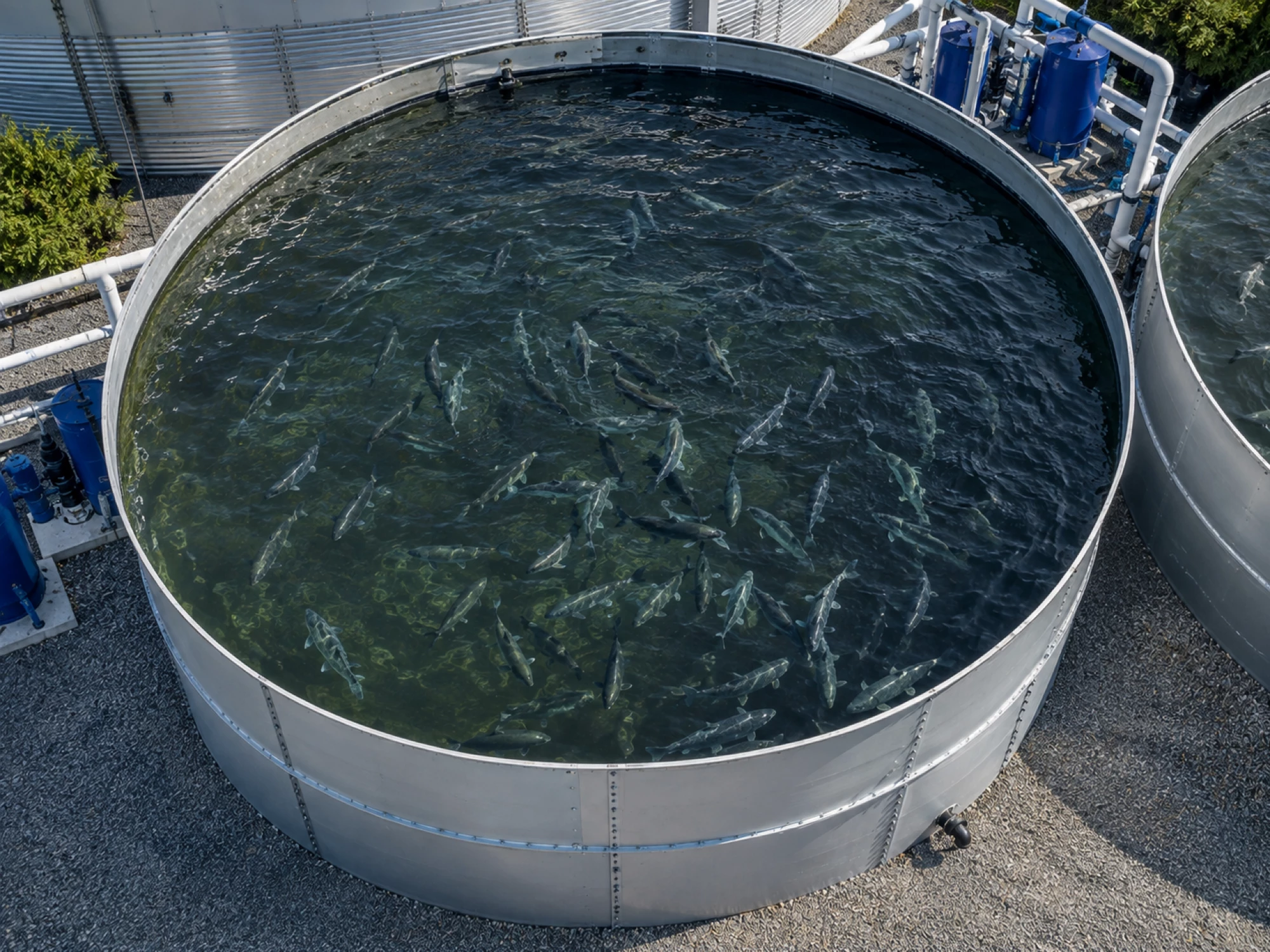 fish-farming-bolted-steel-tank-apro-industrie