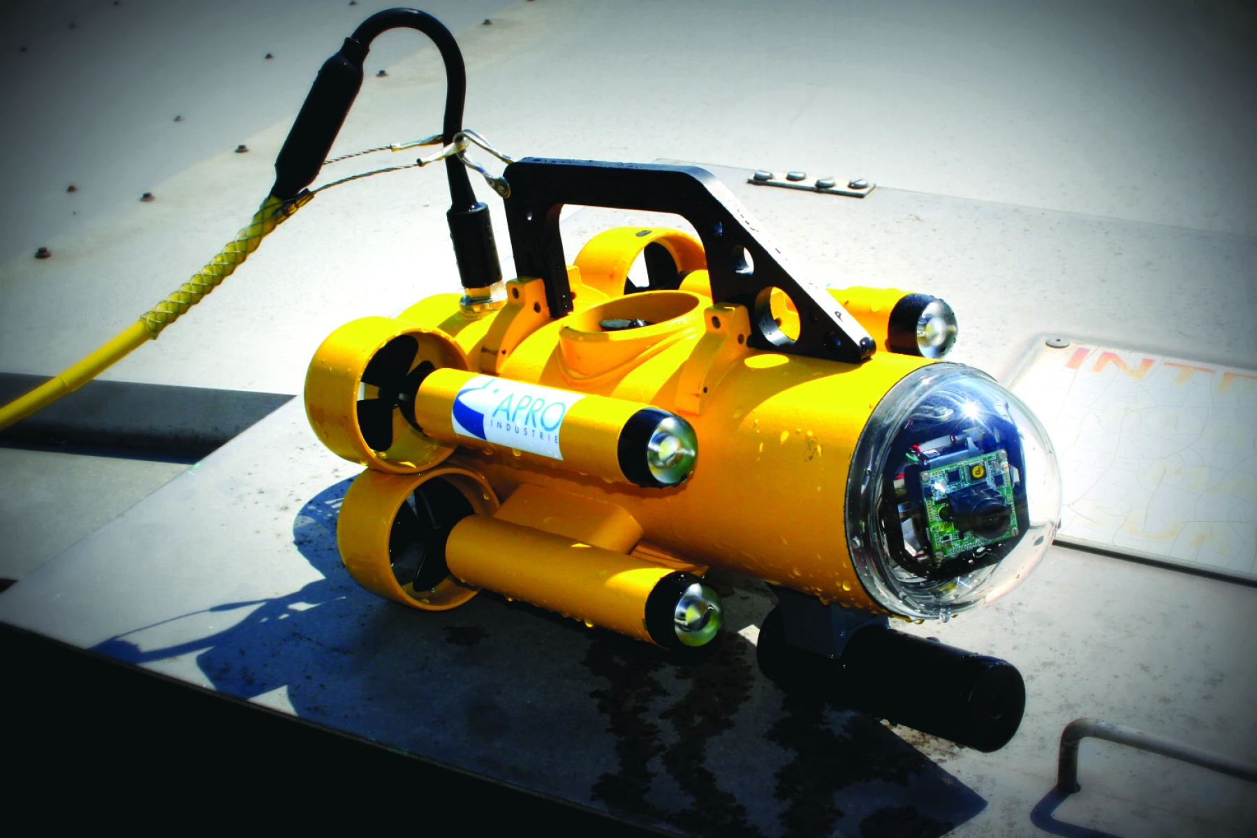 Robotic Inspection and Cleaning