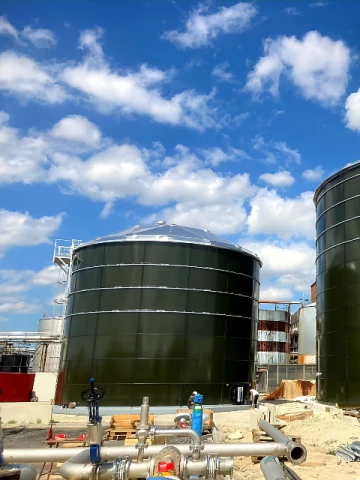 Urban and Industrial Effluents